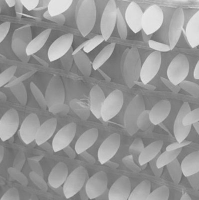 photo booth backdrop